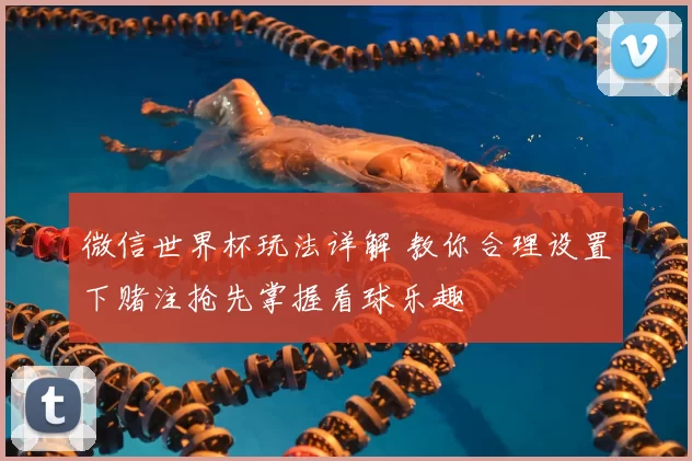 微信世界杯玩法详解 教你合理设置下赌注抢先掌握看球乐趣