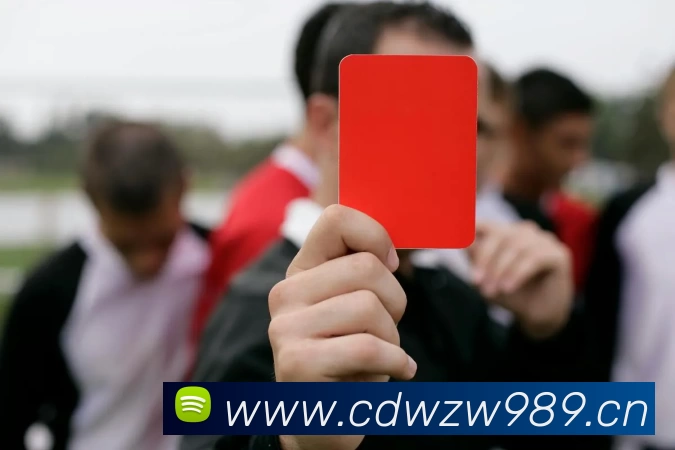 米兰·官方站官网 - 米兰MiLan(中国)平台生态图